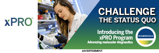 Advertisement B