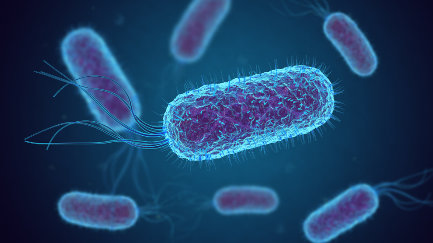 Shiga Toxin-Producing E. coli Testing for Cannabis